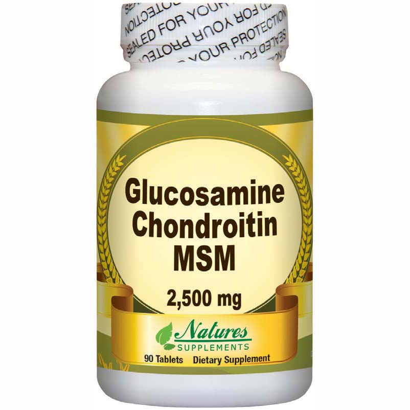 Glucosamine Chondroitin MSM